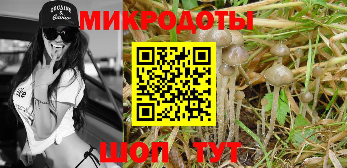 Истра  Галлюциногенные грибы GOLDEN TEACHER  Вход с VPN 